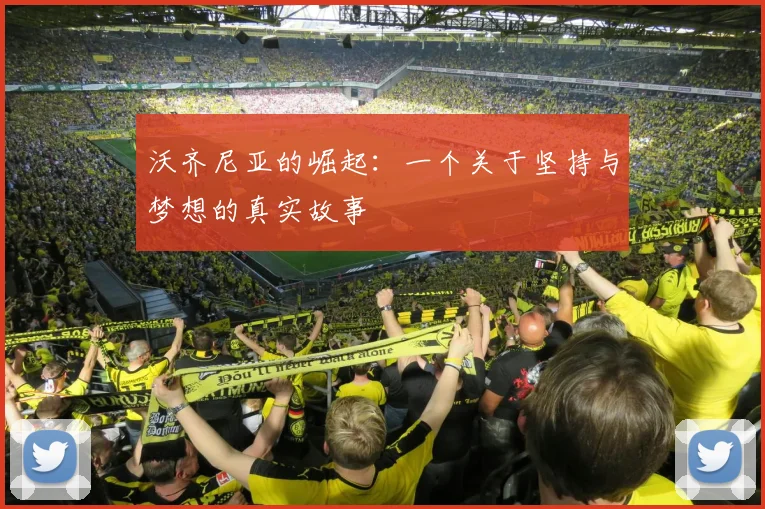 沃齐尼亚的崛起：一个关于坚持与梦想的真实故事